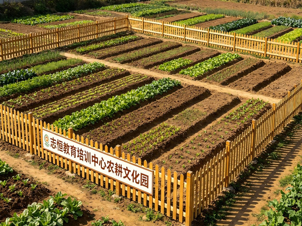 江门叛逆青少年教育机构选择指南：核心考量与专业解析